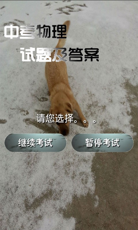 中考物理通