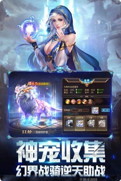 奇迹之剑宠物养成