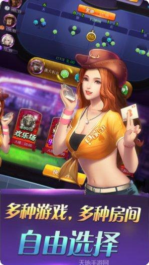 花猫休闲斗牛下载地址