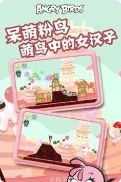Angry Pig最新版本