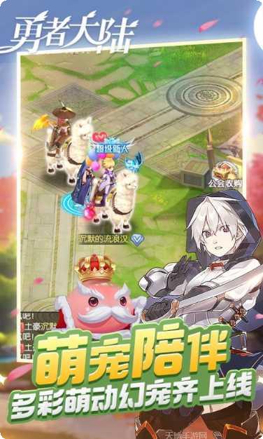 勇者大陆海盗角色介绍