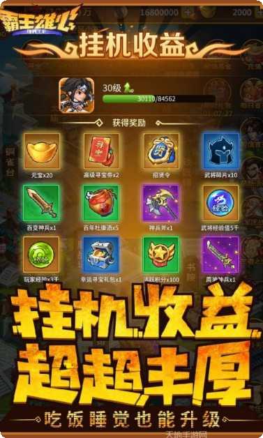 霸王雄心游戏攻略