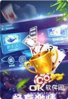 二百四棋牌规则