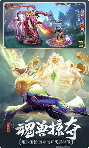 斗罗大陆手游攻略