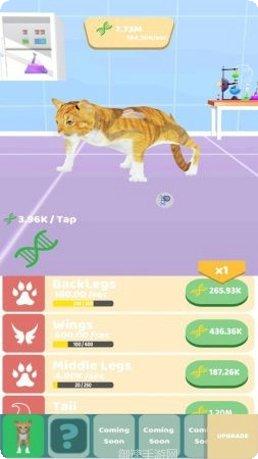 动物进化竞赛攻略