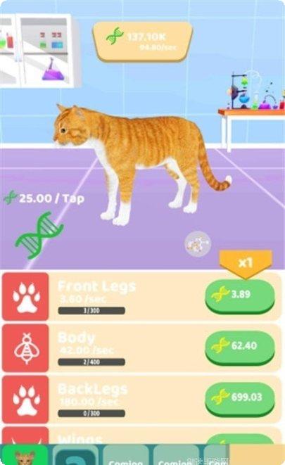 动物进化竞赛最新版本