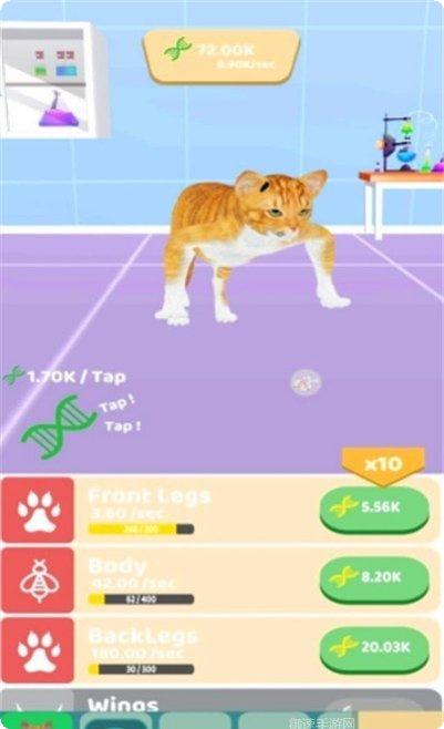 动物进化竞赛玩法介绍