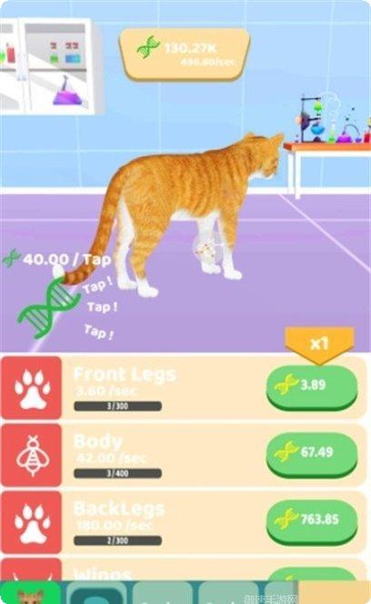 动物进化竞赛玩家评价