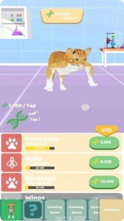 动物进化竞赛游戏特色