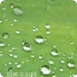 Galaxy S3雨滴动态壁纸